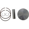 Piston Kit for 2 Stroke