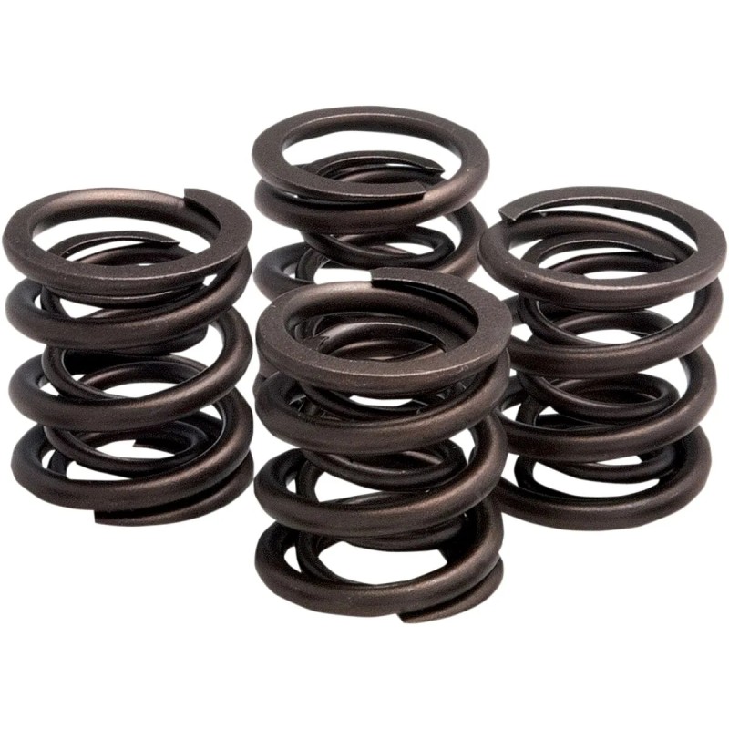 Valve Spring Kit