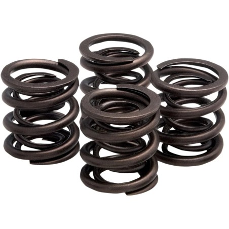 Valve Spring Kit