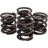 Valve Spring Kit