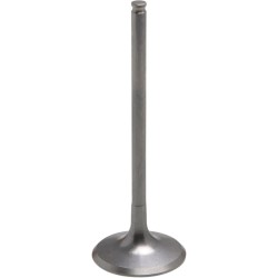 Tensilite  Titanium Engine Valve