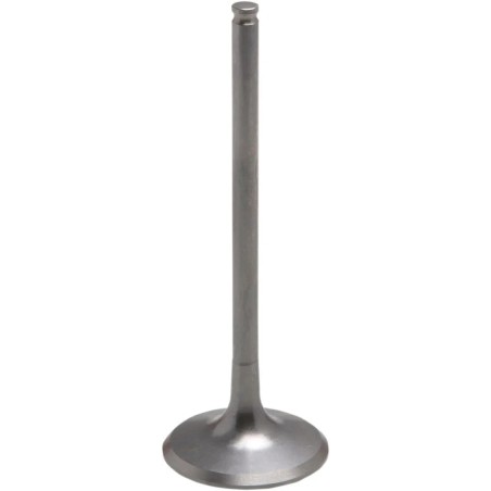 Tensilite  Titanium Engine Valve
