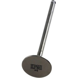 Tensilite  Titanium Engine Valve