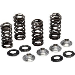 Valve Spring Kit
