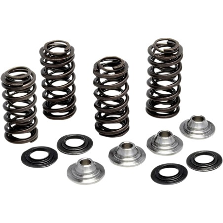 Valve Spring Kit
