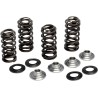 Valve Spring Kit