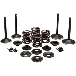 Engine Valve Kit