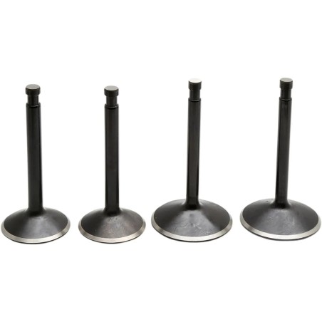 Black Diamond  Engine Valve Kit
