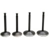 Black Diamond  Engine Valve Kit