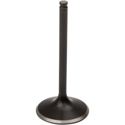 Black Diamond  Engine Valve