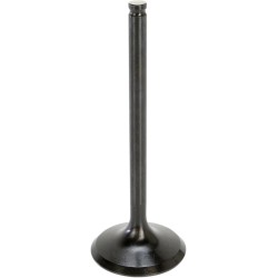 Soupape moteur Black Diamond™