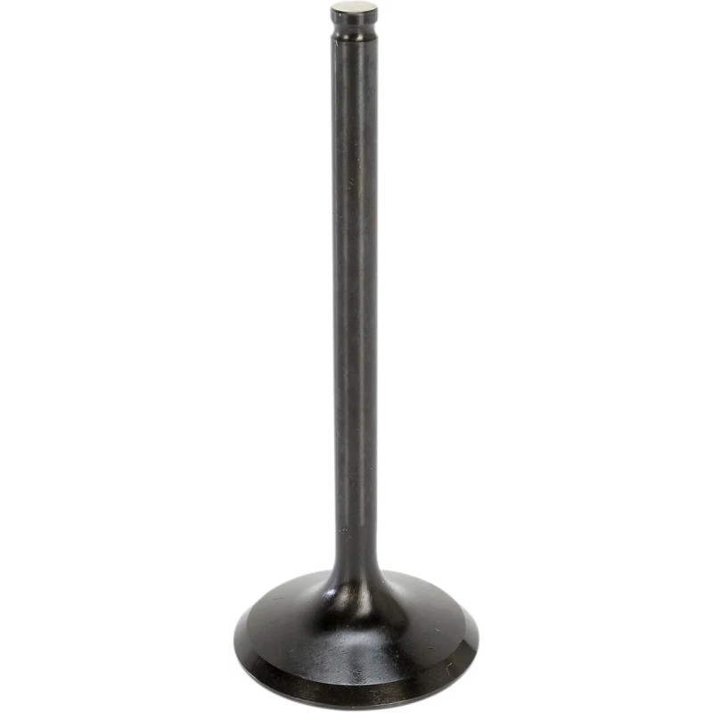 Black Diamond  Engine Valve