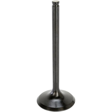 Black Diamond  Engine Valve