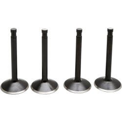 Black Diamond  Engine Valve Kit