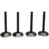 Black Diamond  Engine Valve Kit
