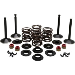 Engine Valve Kit