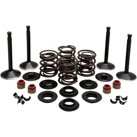 Engine Valve Kit