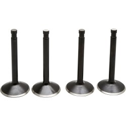 Kit soupapes moteur Black Diamond™