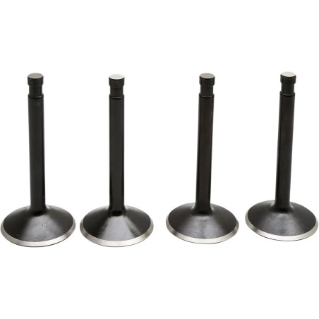 Kit soupapes moteur Black Diamond™