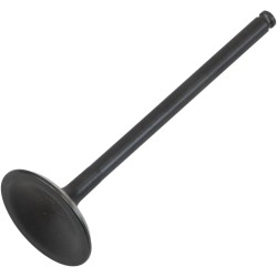 Black Diamond  Engine Valve