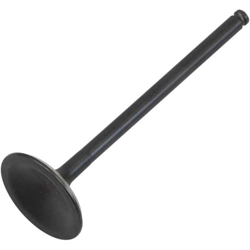 Black Diamond  Engine Valve