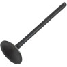 Black Diamond  Engine Valve