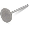 Tensilite  Titanium Engine Valve