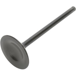 Black Diamond  Engine Valve