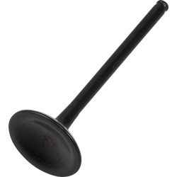 Black Diamond  Engine Valve