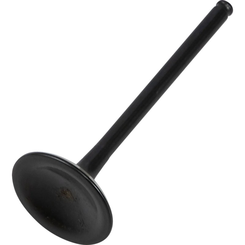Soupape moteur Black Diamond™