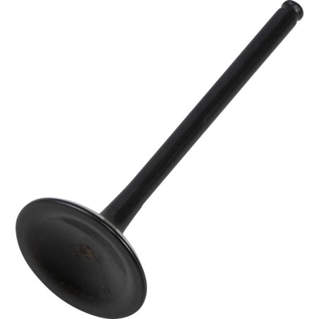 Soupape moteur Black Diamond™