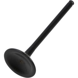 Soupape moteur Black Diamond™