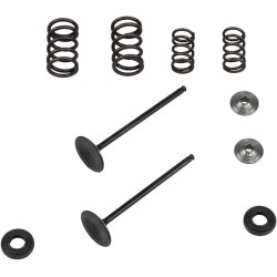 Intake Stainless Conversion Valve and Spring Kit