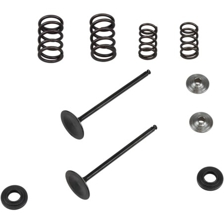 Intake Stainless Conversion Valve and Spring Kit