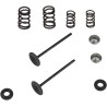Kit Conversion Soupape d'Admission Inox et Ressort