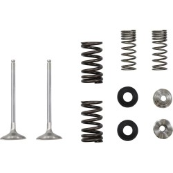 Exhaust Valve and Spring Kit