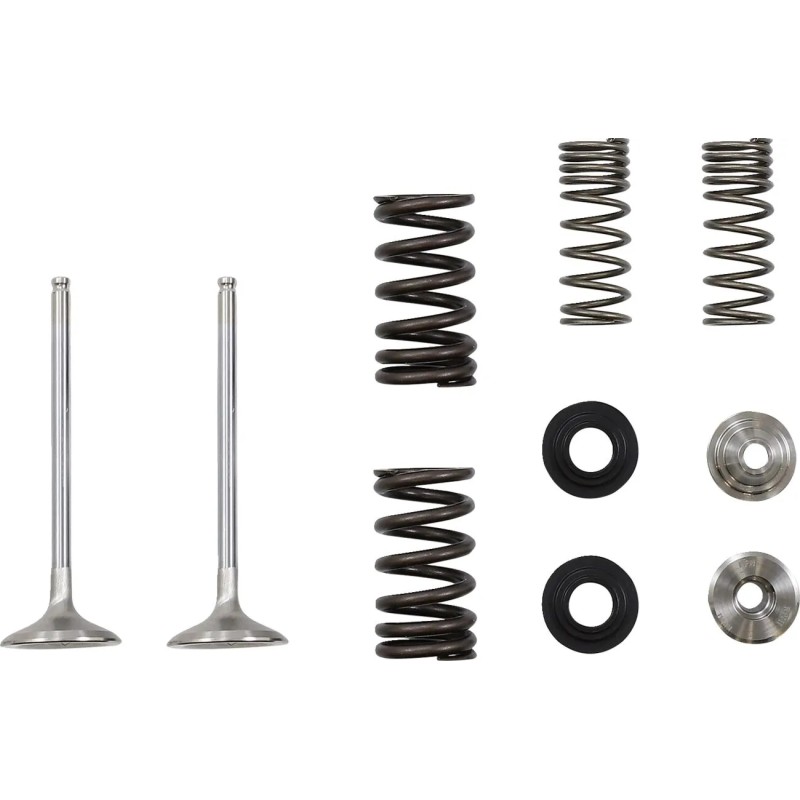 Exhaust Valve and Spring Kit