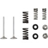 Kit soupape d'échappement et ressort