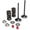 Exhaust Valve and Spring Kit