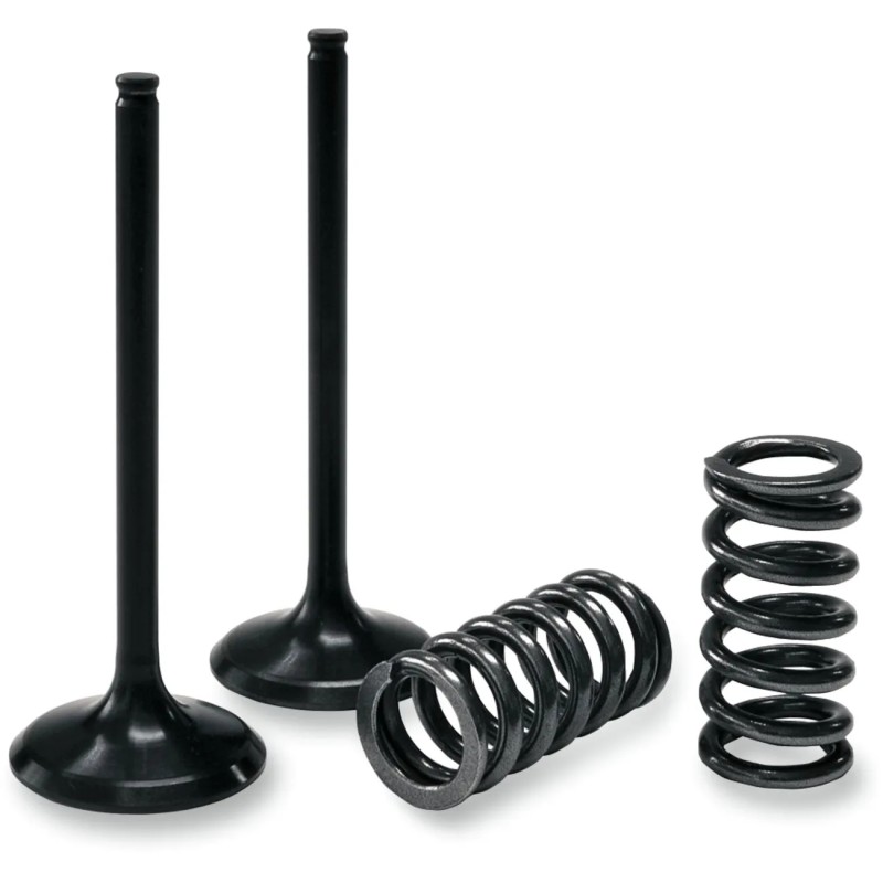 Valve and Spring Kit
