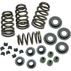 0.650  Sidewinder  Valve Spring Kit