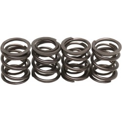 Valve Spring Kit