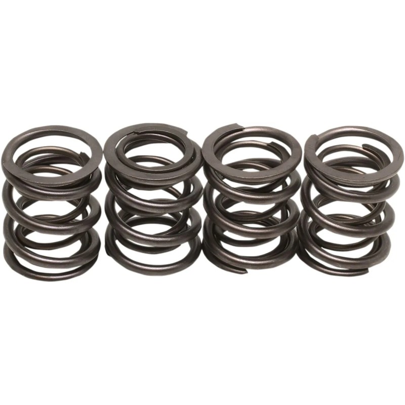 Valve Spring Kit
