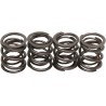Valve Spring Kit
