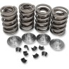 Valve Spring Kit