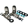 Econo Beehive  Valve Spring Kit