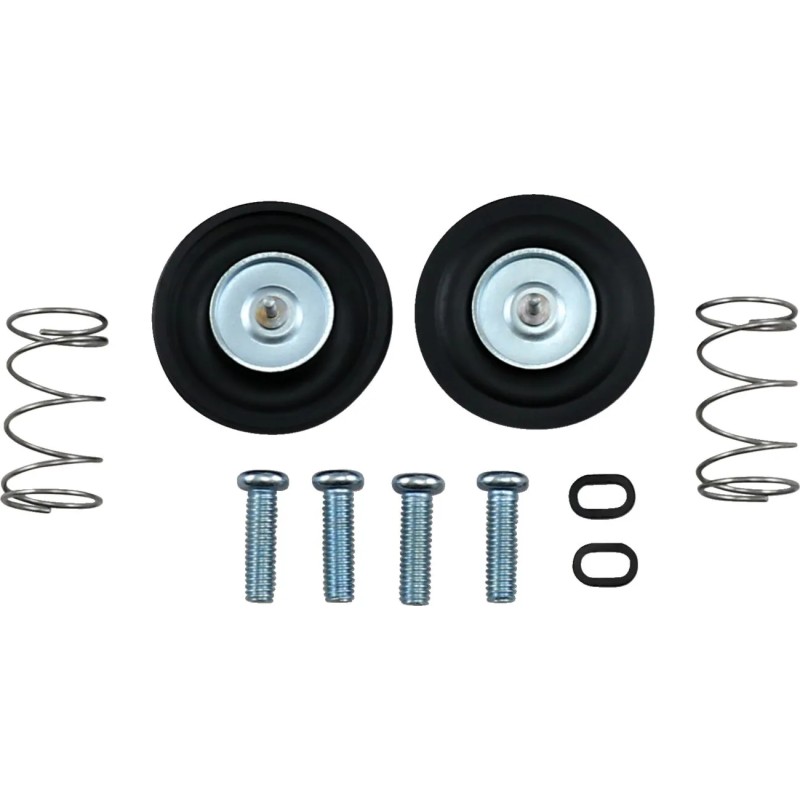 Air Cut-Off Valve Rebuild Kit
