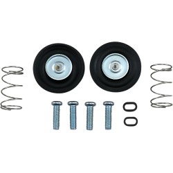 Air Cut-Off Valve Rebuild Kit