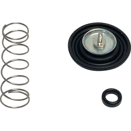 Carburetor Air Cut-Off Valve Kit