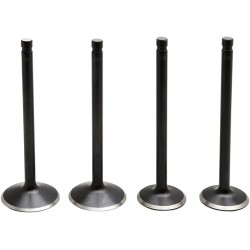 Kit soupapes moteur Black Diamond™